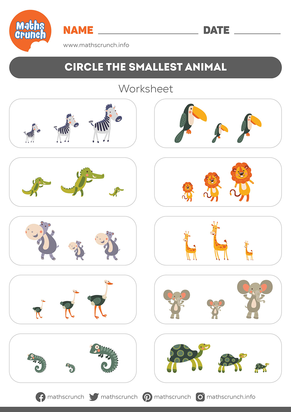 circle-the-smallest-animal-kindergarten-worksheet-for-kids-maths-crunch